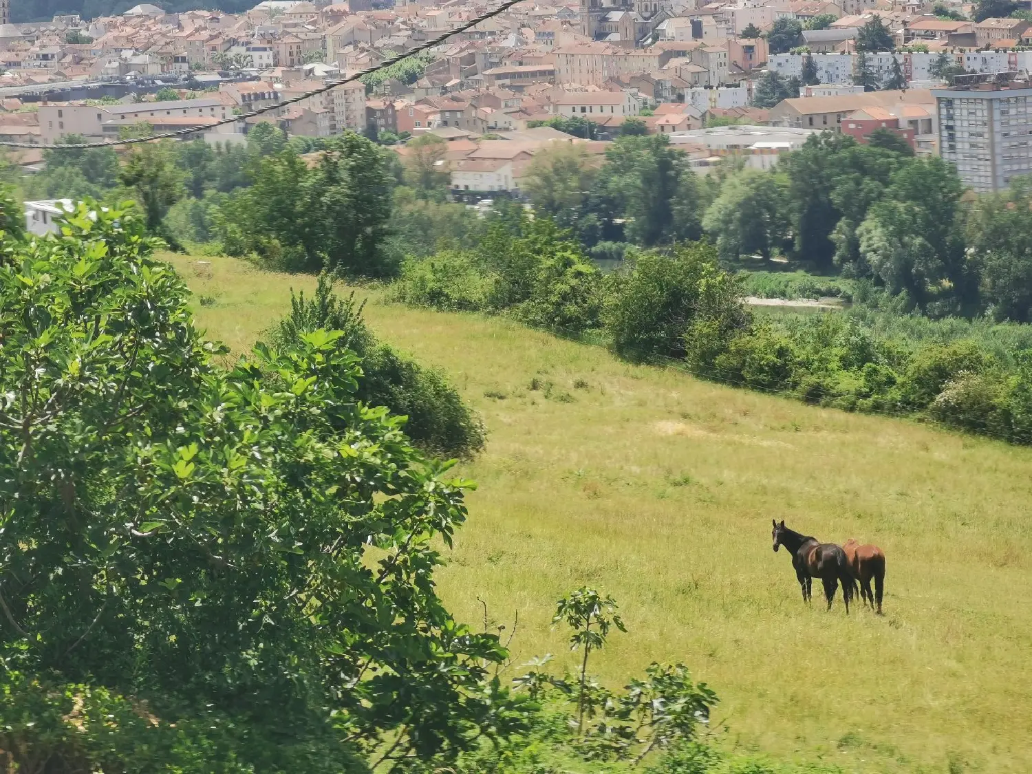en venta casa Millau Aveyron 2