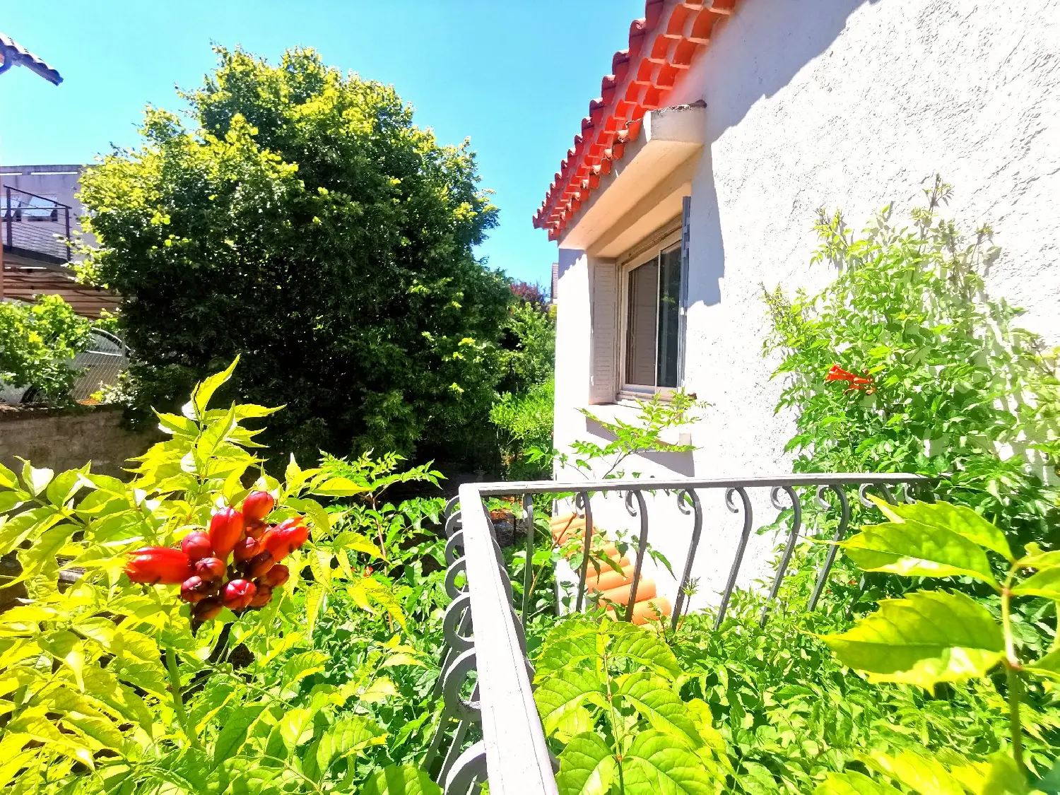  à vendre maison Millau Aveyron 7