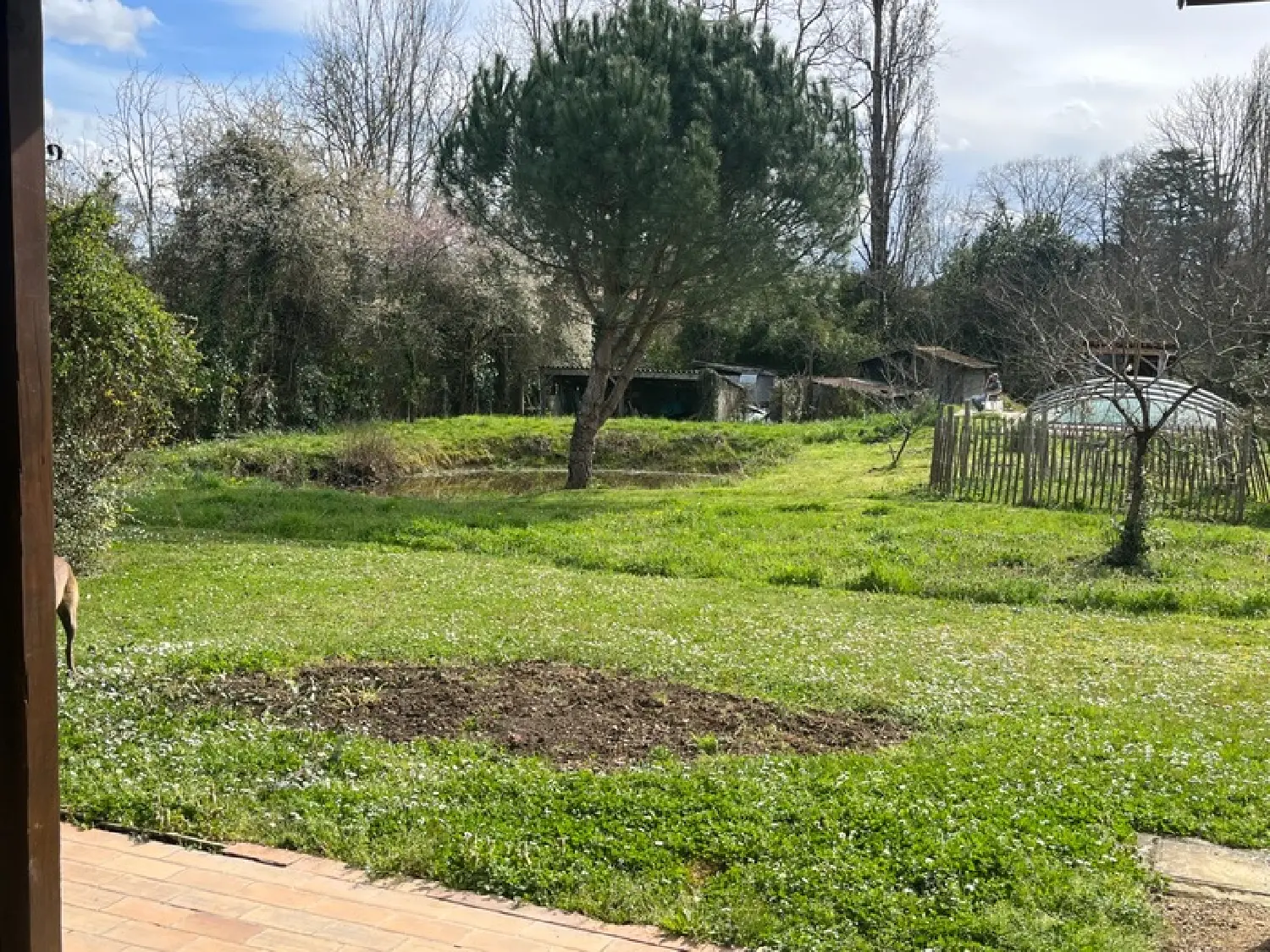  à vendre maison Mirande Gers 3
