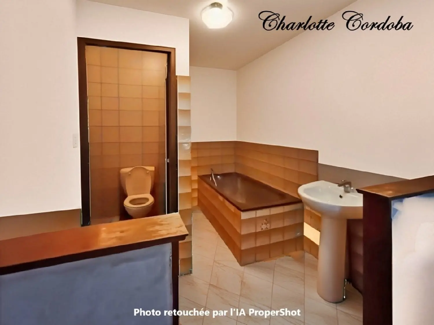 kaufen Haus Montagnac-sur-Auvignon Lot-et-Garonne 6