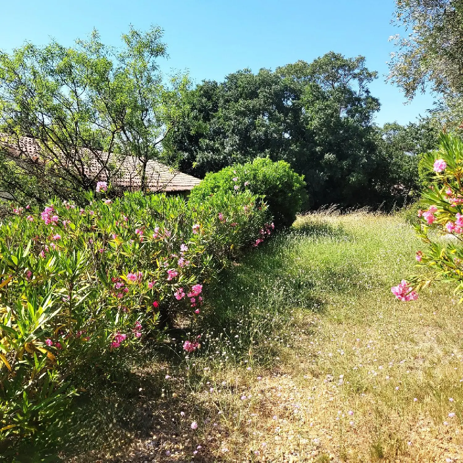  en venta casa Montagnac Hérault 7