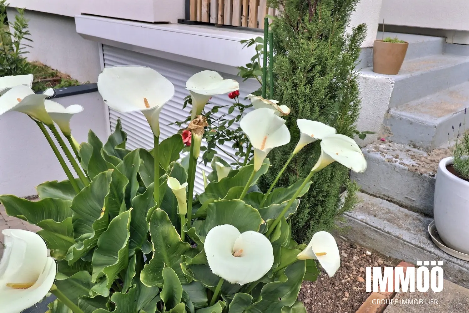  à vendre maison Montigny Seine-Maritime 4
