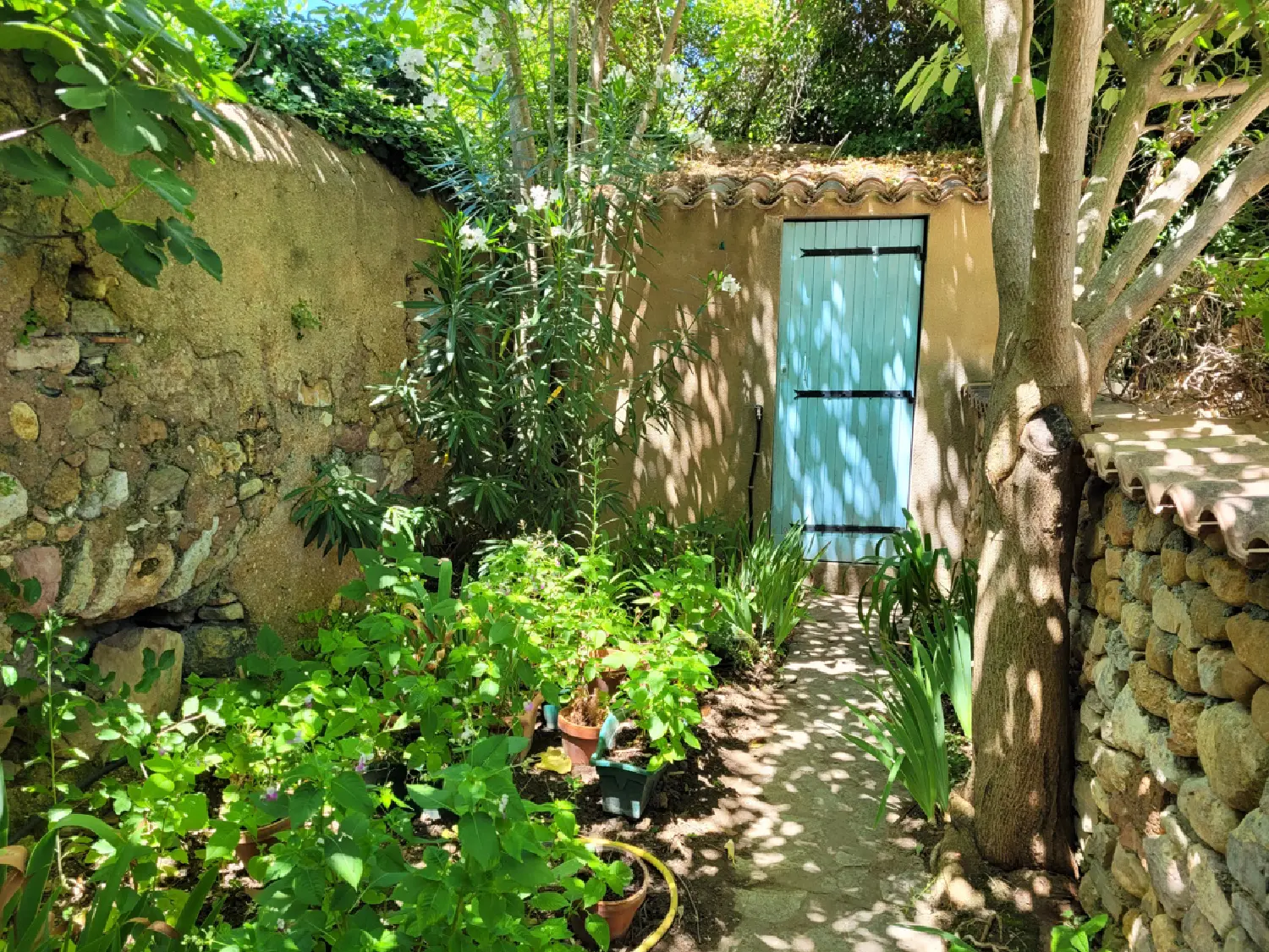  à vendre maison Montouliers Hérault 3