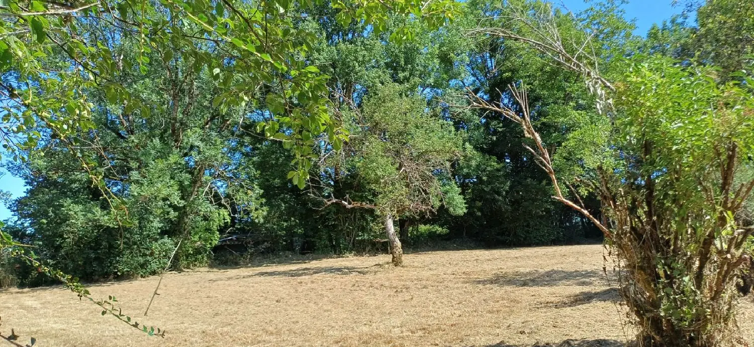  for sale house Montrevel Jura 3