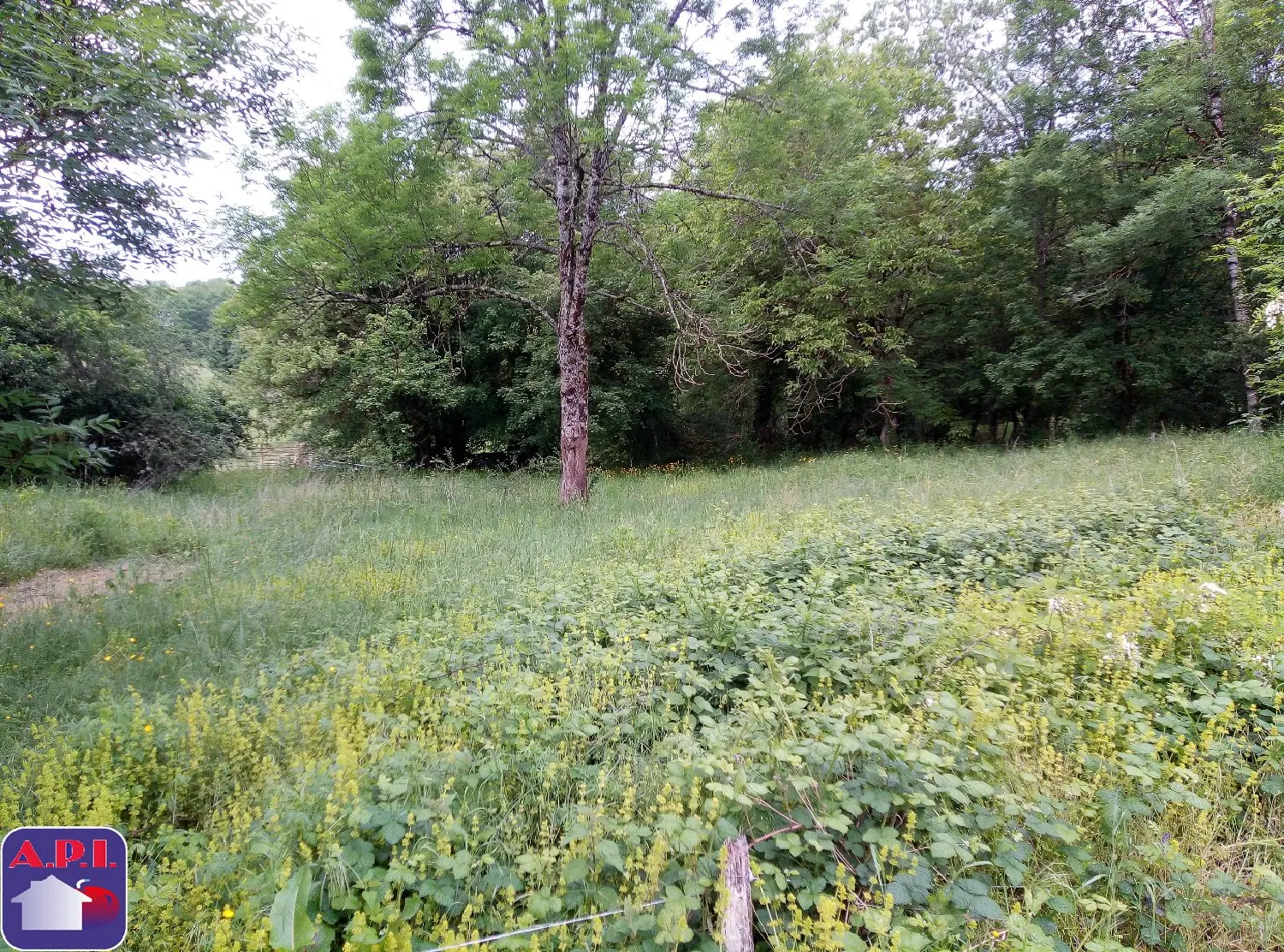  te koop huis Montseron Ariège 6
