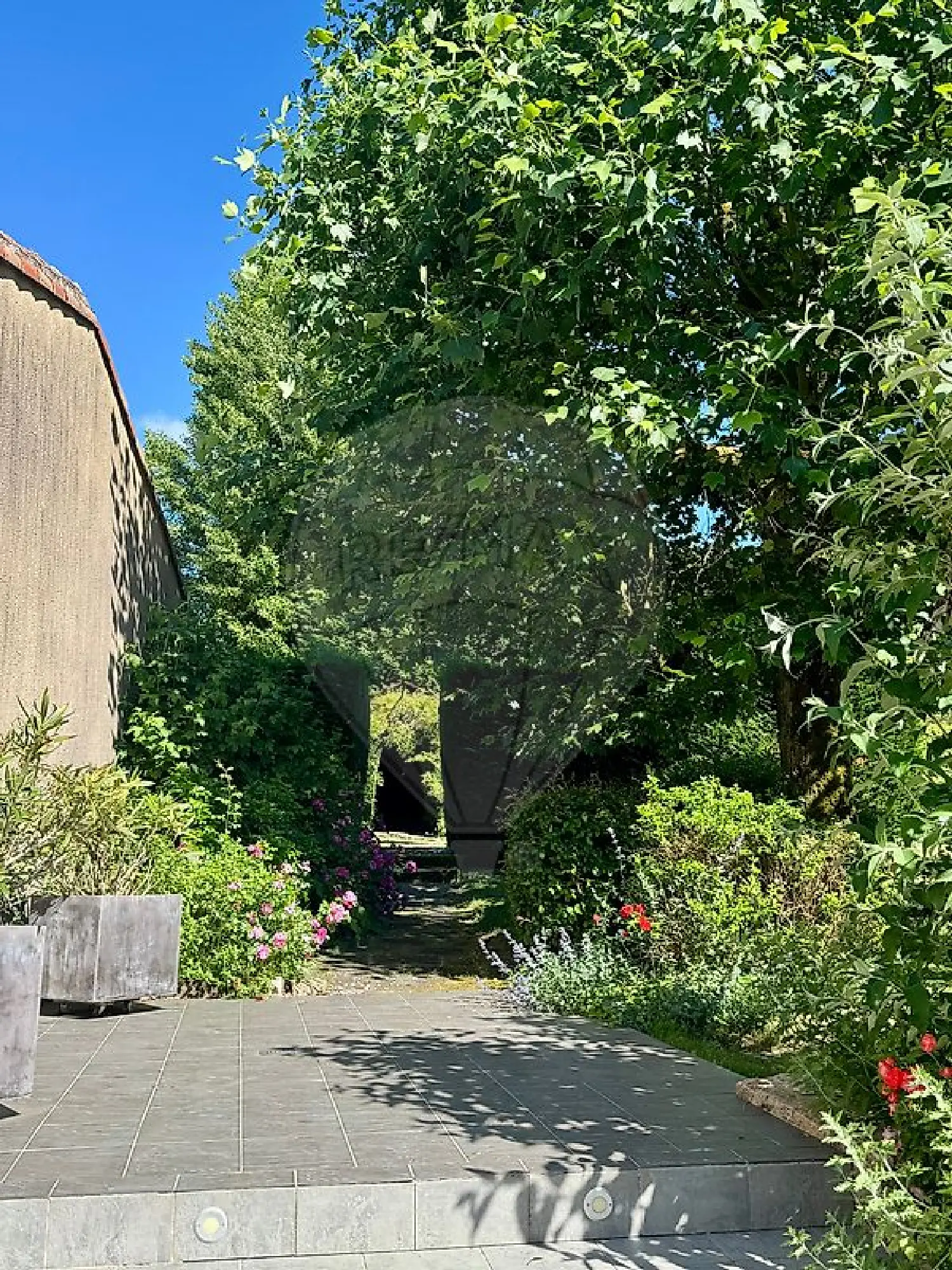  à vendre maison Mortagne-sur-Sèvre Vendée 7