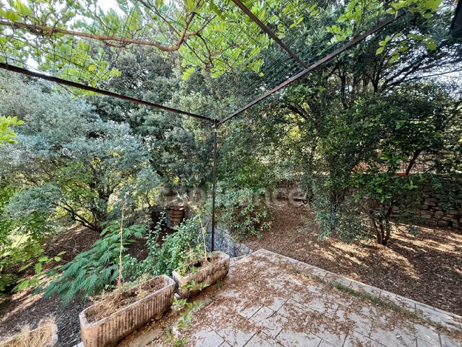  kaufen Haus Moulès-et-Baucels Hérault 3