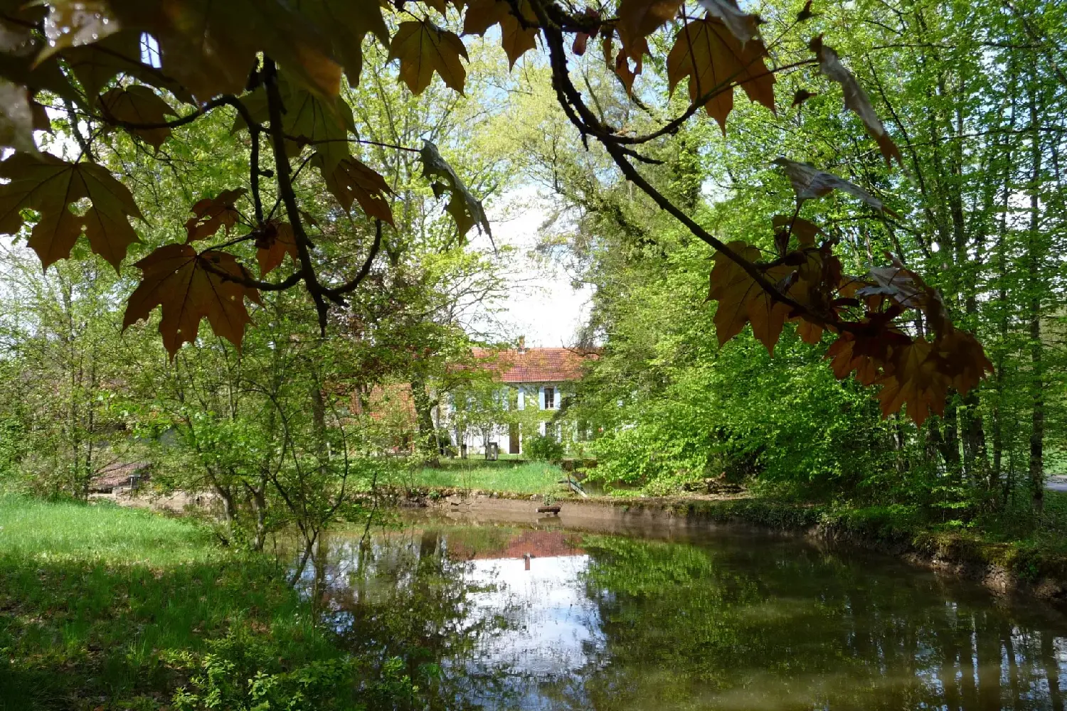  à vendre maison Mouron-sur-Yonne Nièvre 3