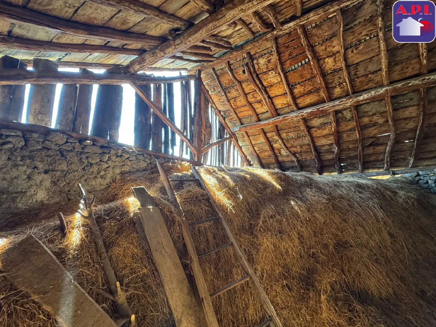  à vendre maison Muret Haute-Garonne 2