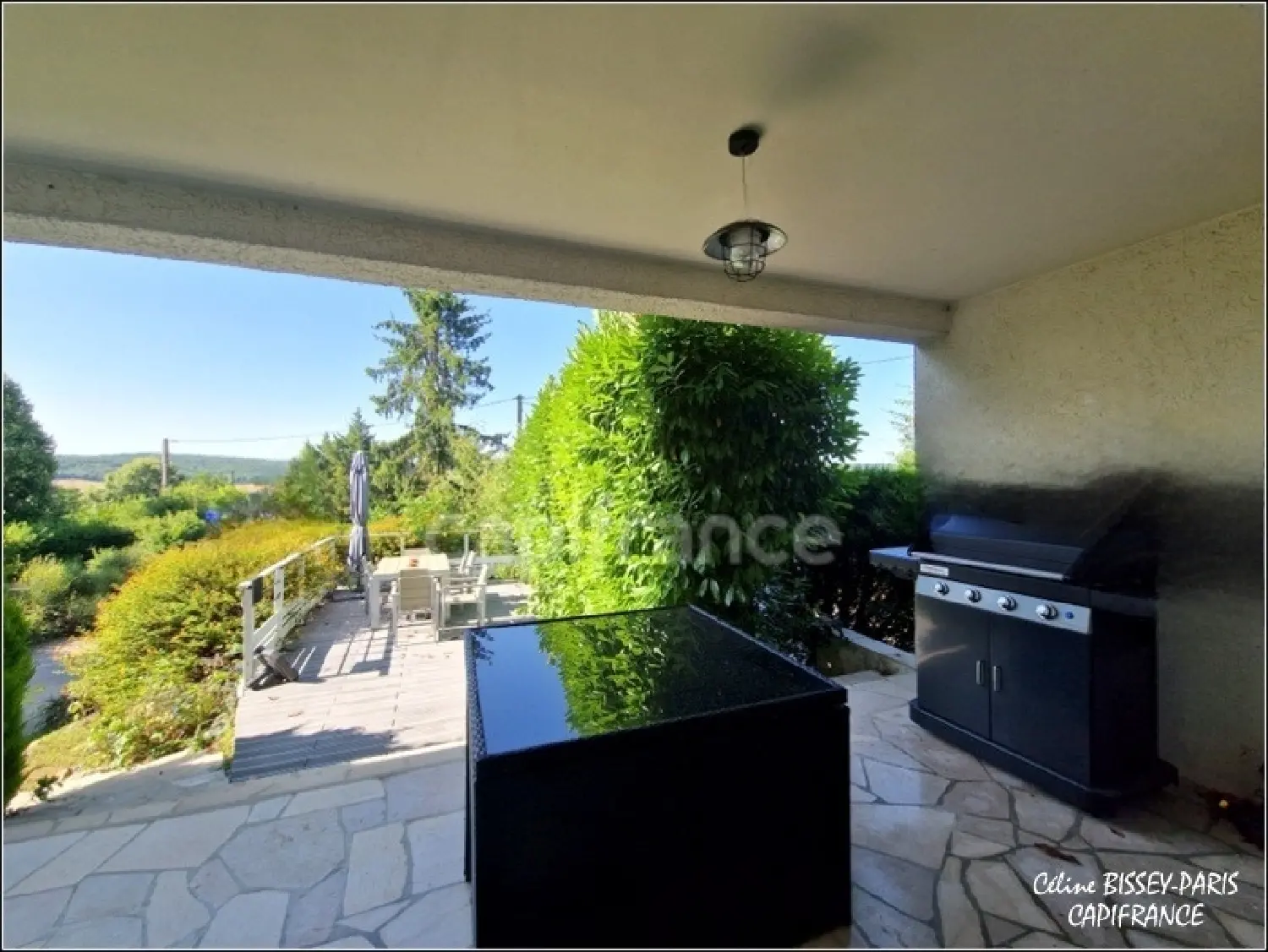  à vendre maison Nailly Yonne 2