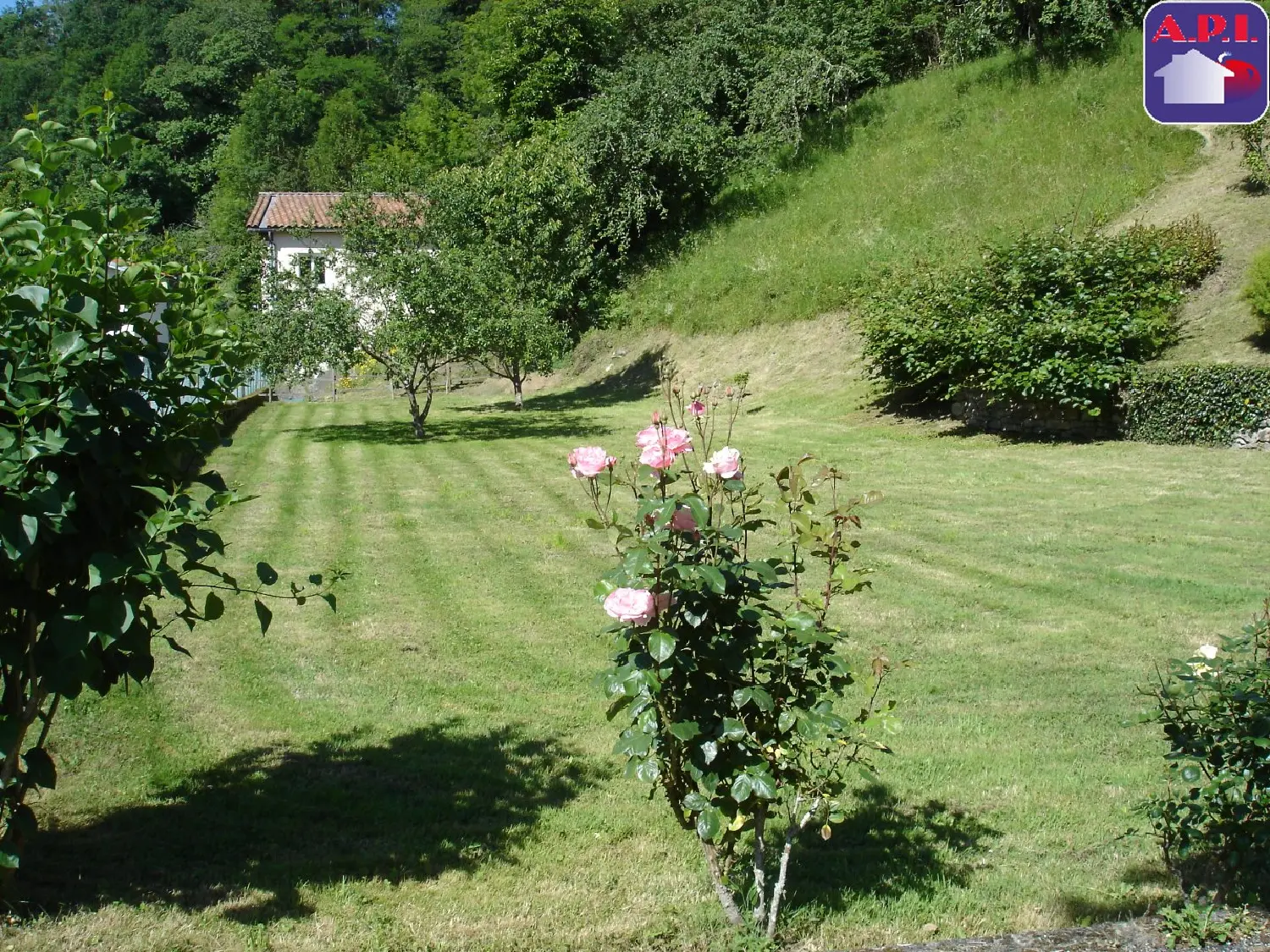  en venta casa Nescus Ariège 5