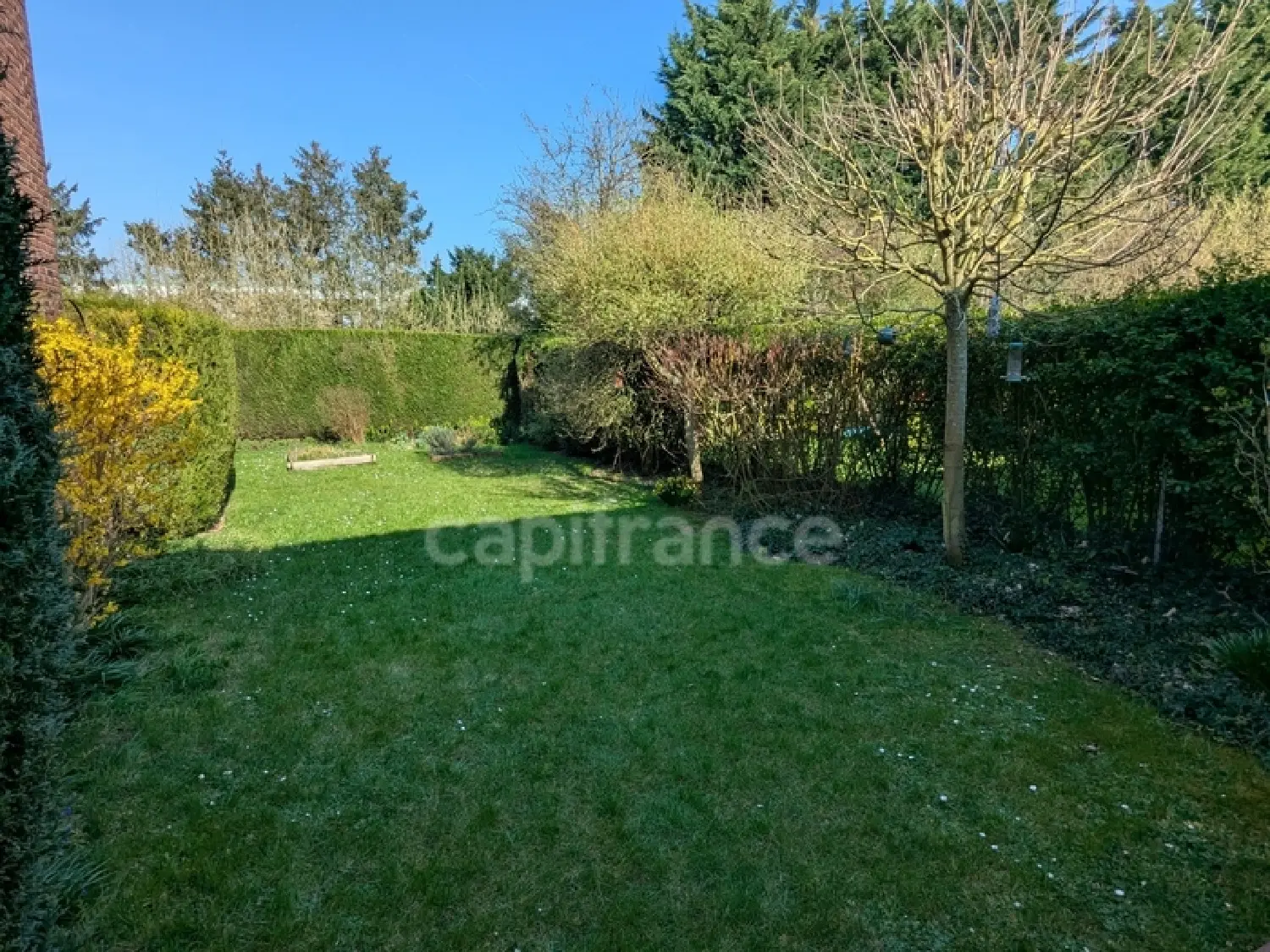  te koop huis Neuville-en-Ferrain Nord 4