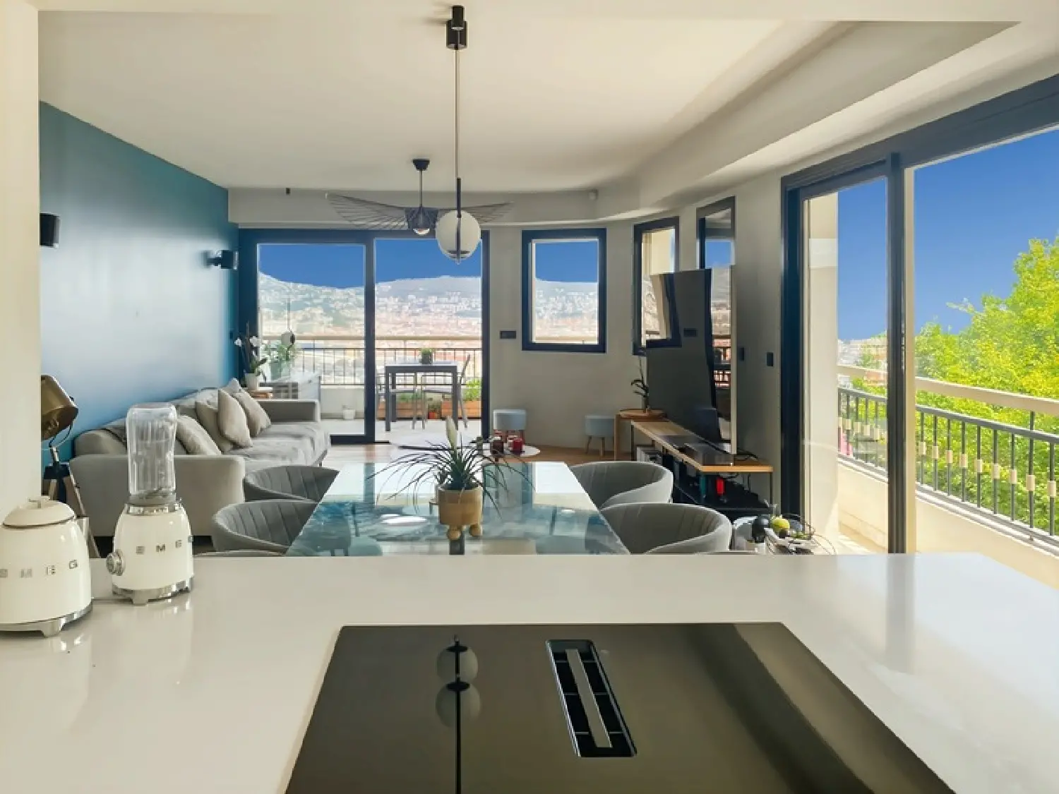  à vendre maison Nice Alpes-Maritimes 4