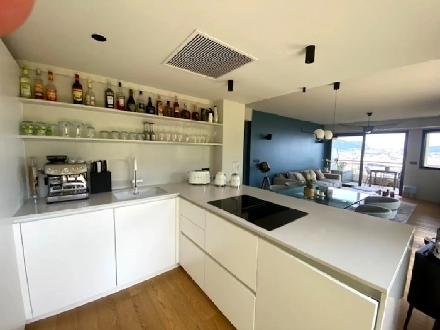  à vendre maison Nice Alpes-Maritimes 6