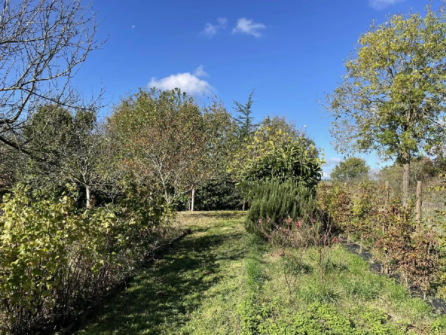  for sale house Nogent-le-Rotrou Eure-et-Loir 4