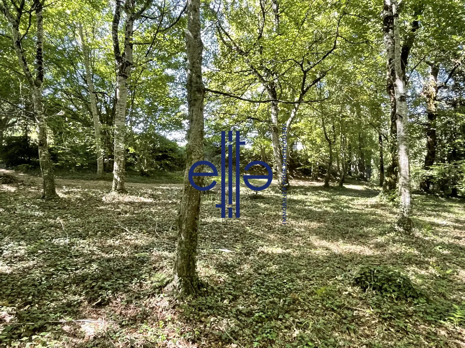  à vendre maison Notre-Dame-de-Sanilhac Dordogne 3