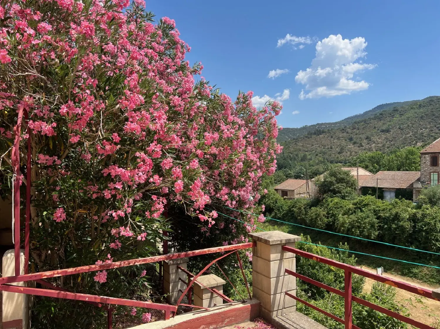  en venta casa Olargues Hérault 4