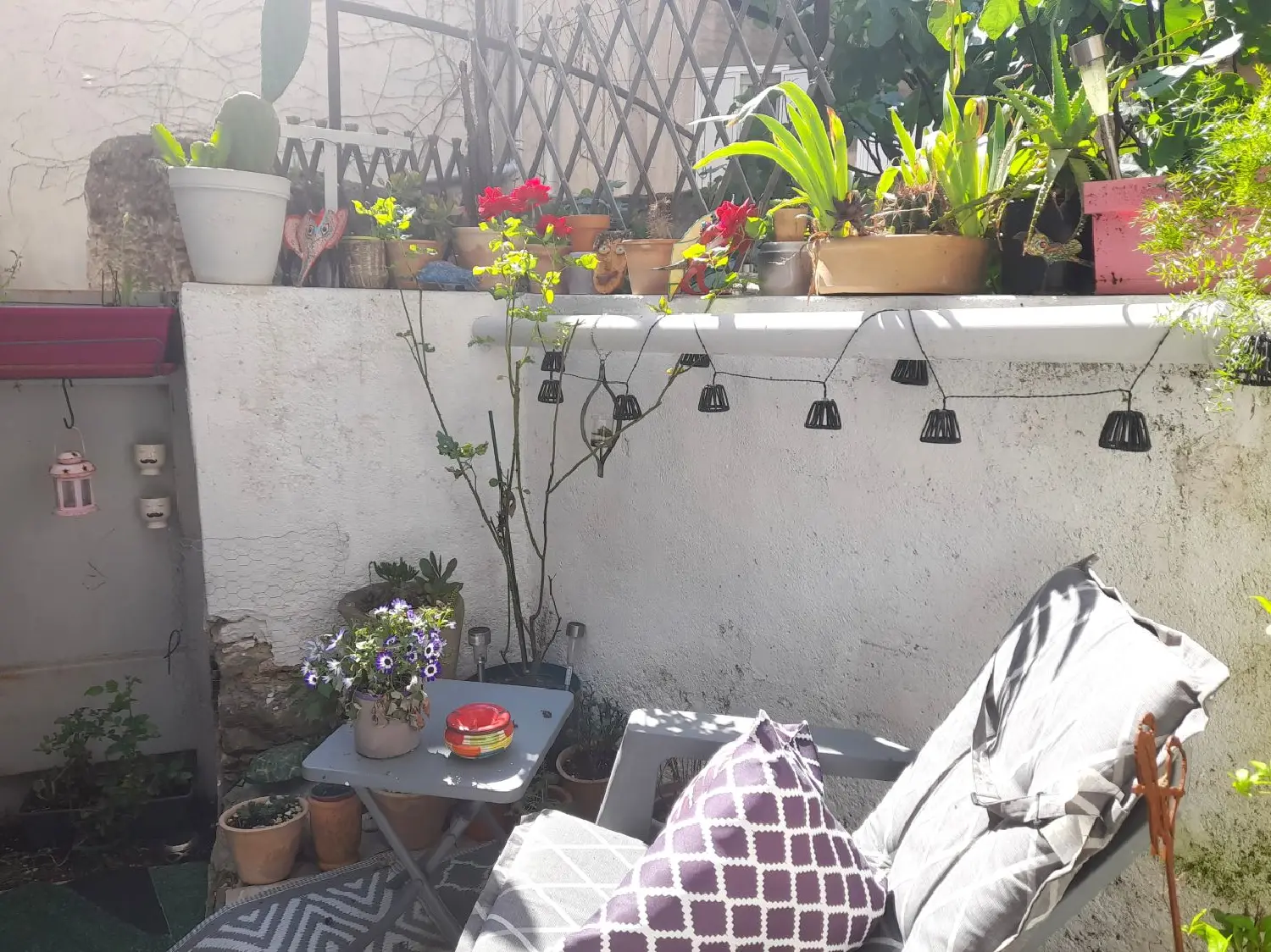  en venta casa Olonzac Hérault 4
