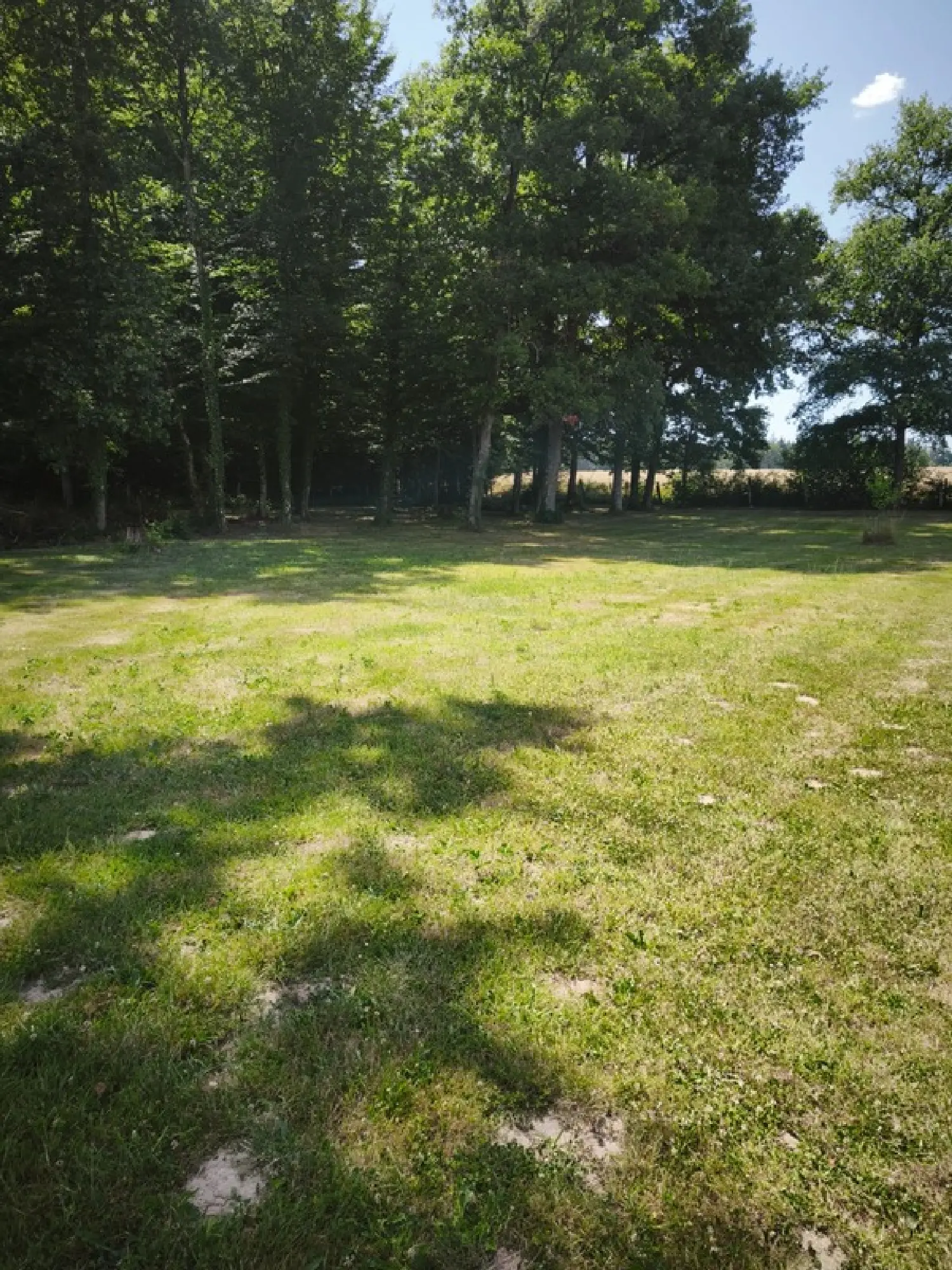 te koop huis Ouzouer-sur-Trézée Loiret 2