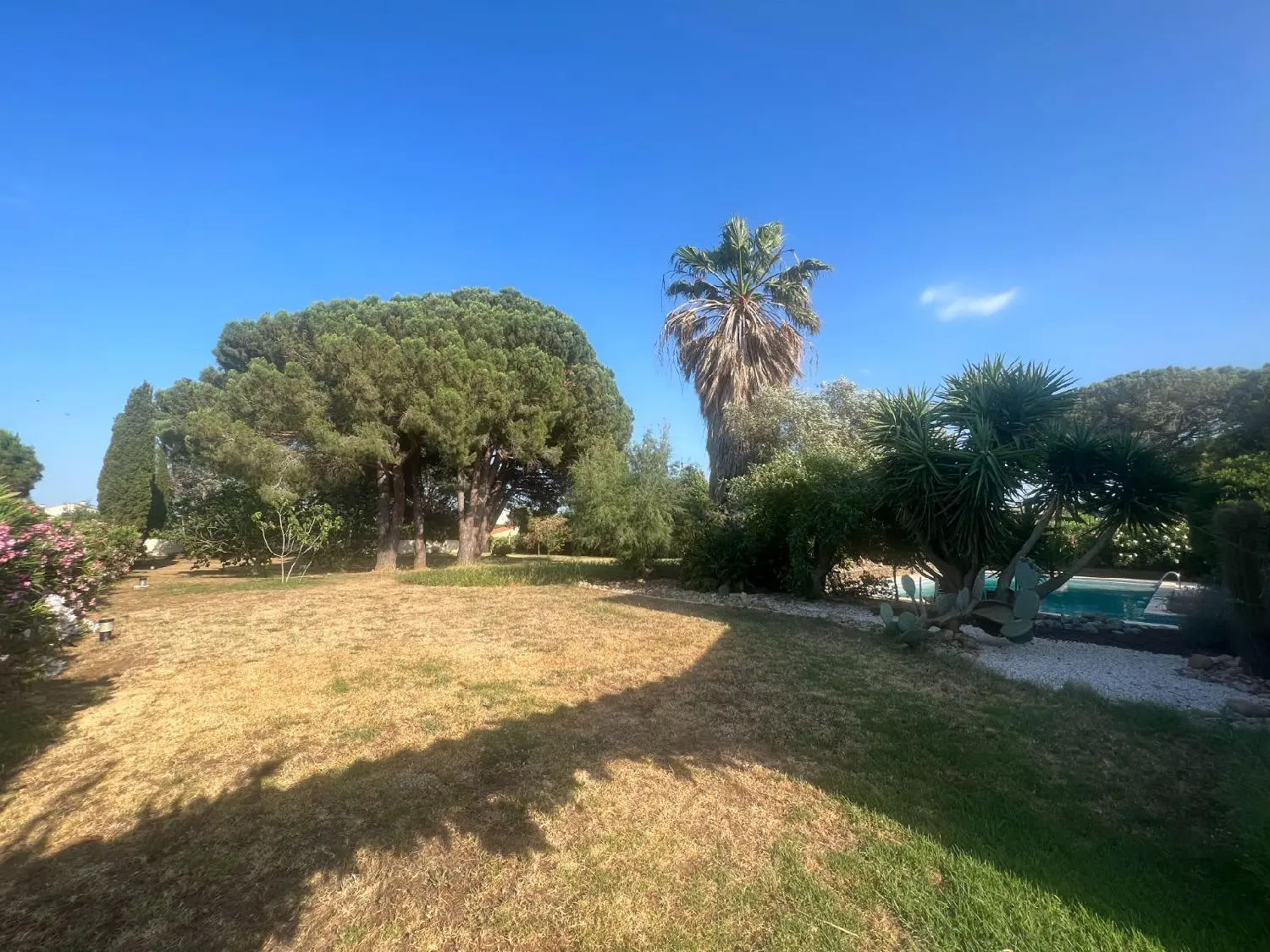  en venta casa Perpignan Pirineo Oriental 7