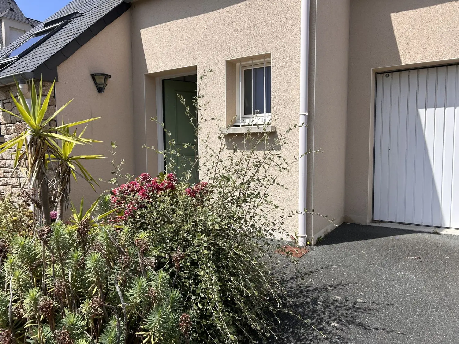  for sale house Perros-Guirec Côtes-d'Armor 1