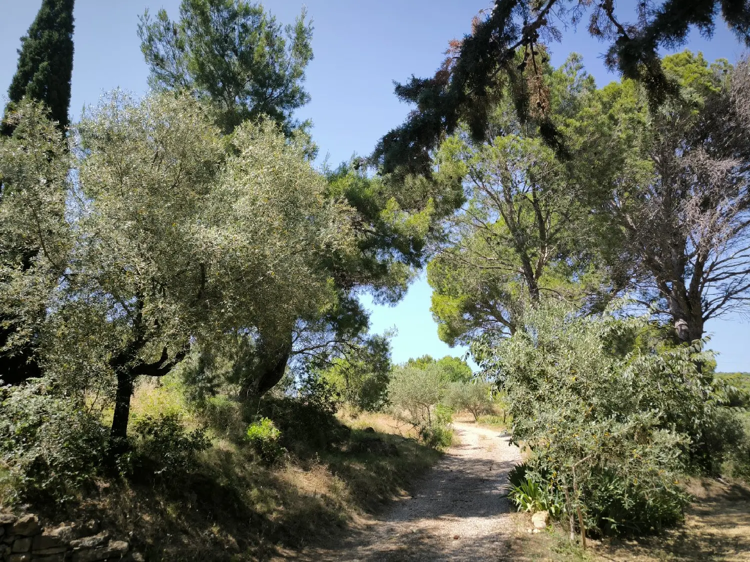  te koop huis Pézenas Hérault 6
