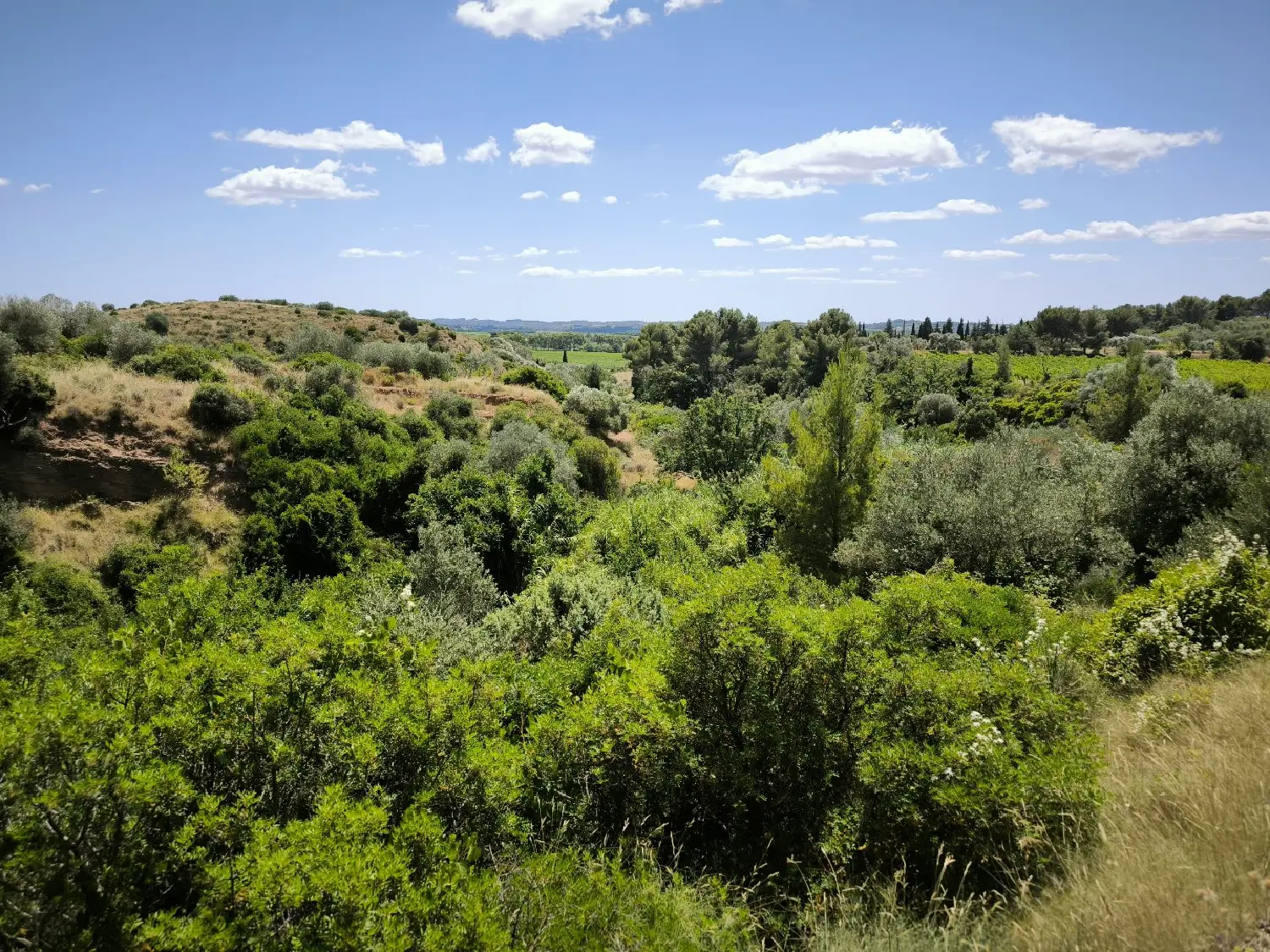  te koop huis Pézenas Hérault 7