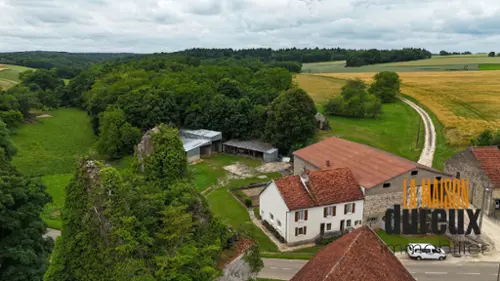 Pierrecourt Haute-Saône maison foto 7106472