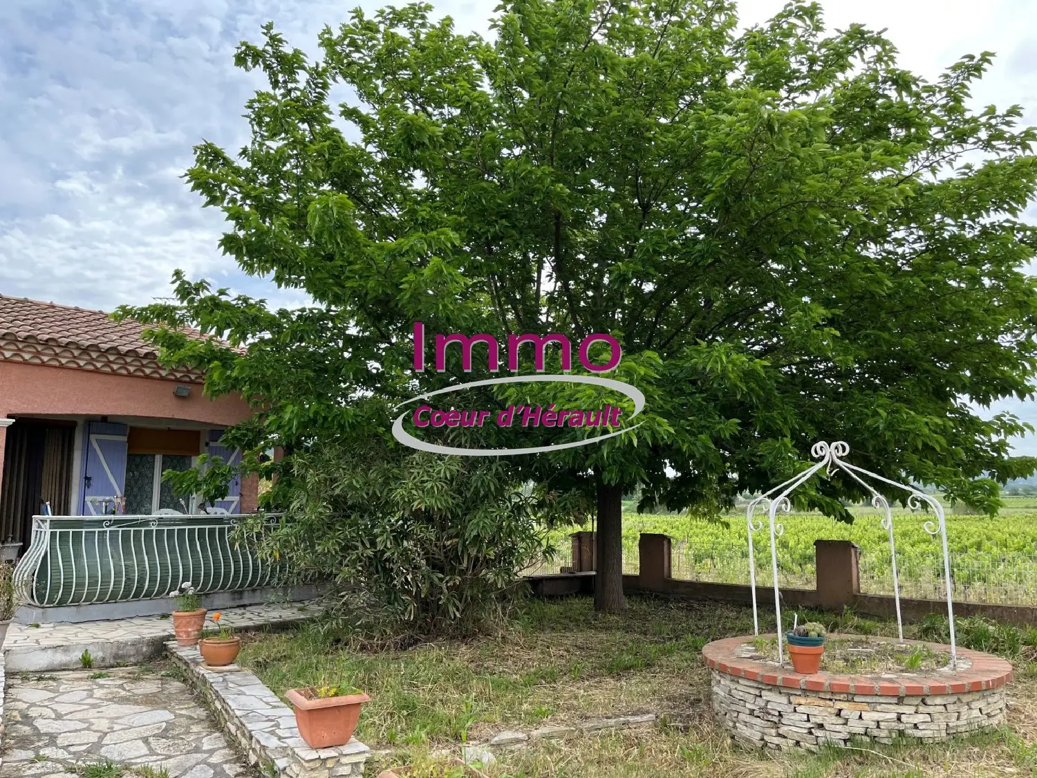  à vendre maison Plaissan Hérault 2