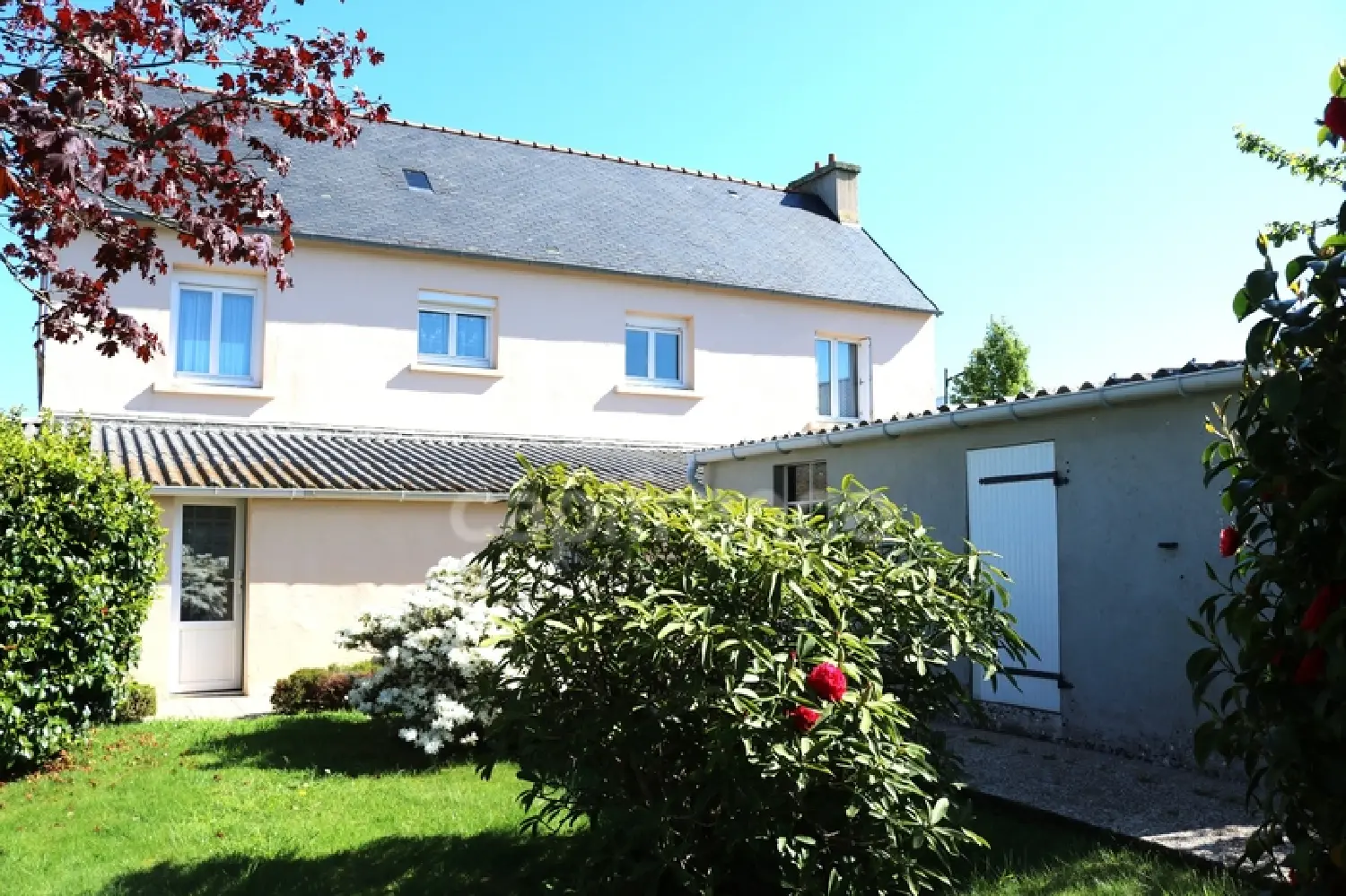  te koop huis Plonéis Finistère 5
