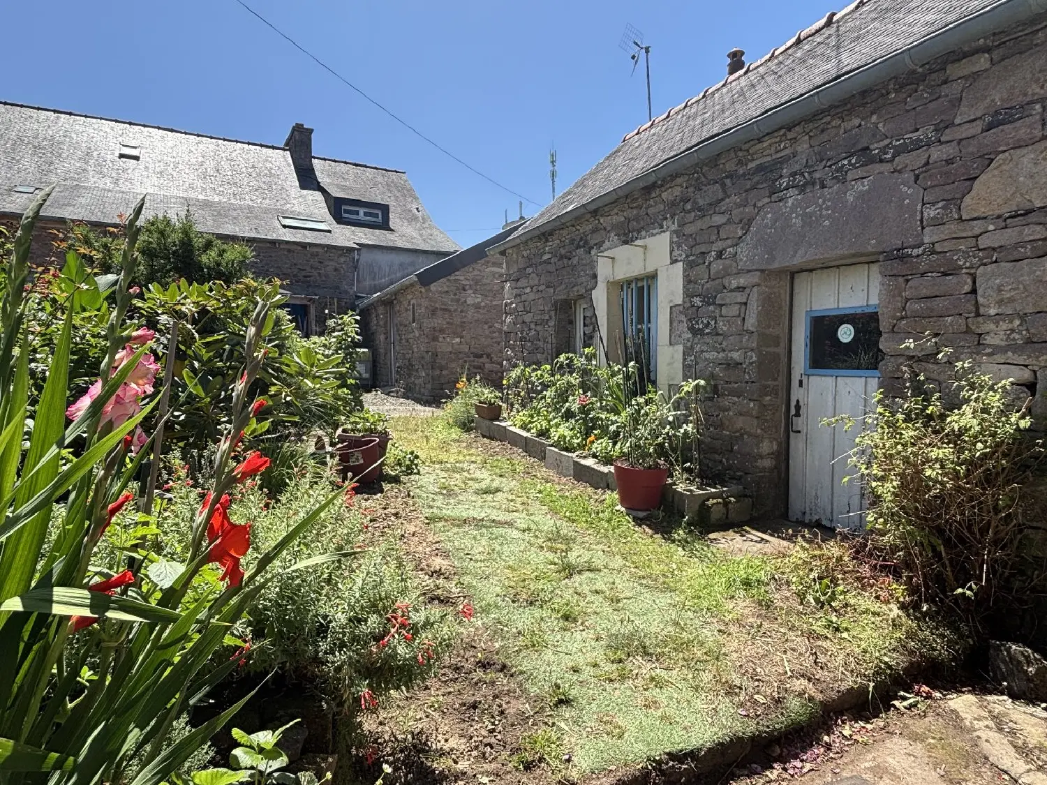  à vendre maison Plouézec Côtes-d'Armor 3