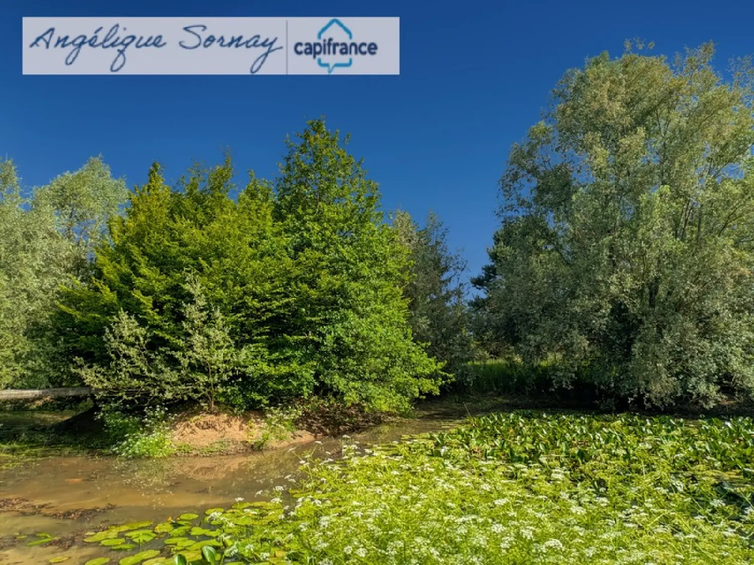  te koop huis Poligny Jura 3