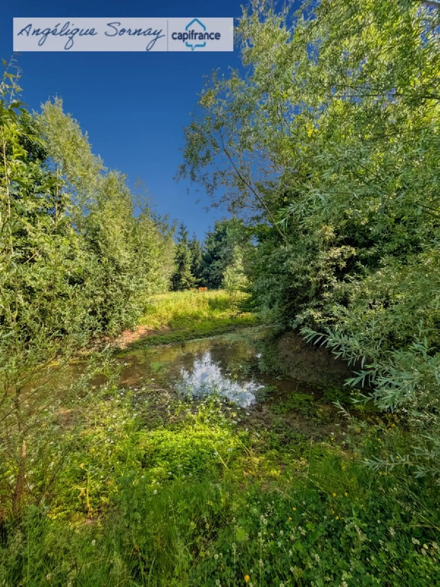  te koop huis Poligny Jura 7