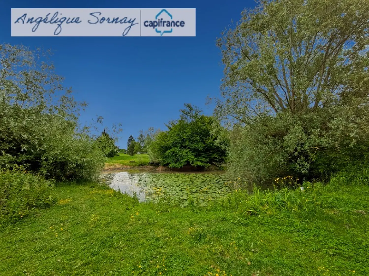  te koop huis Poligny Jura 8