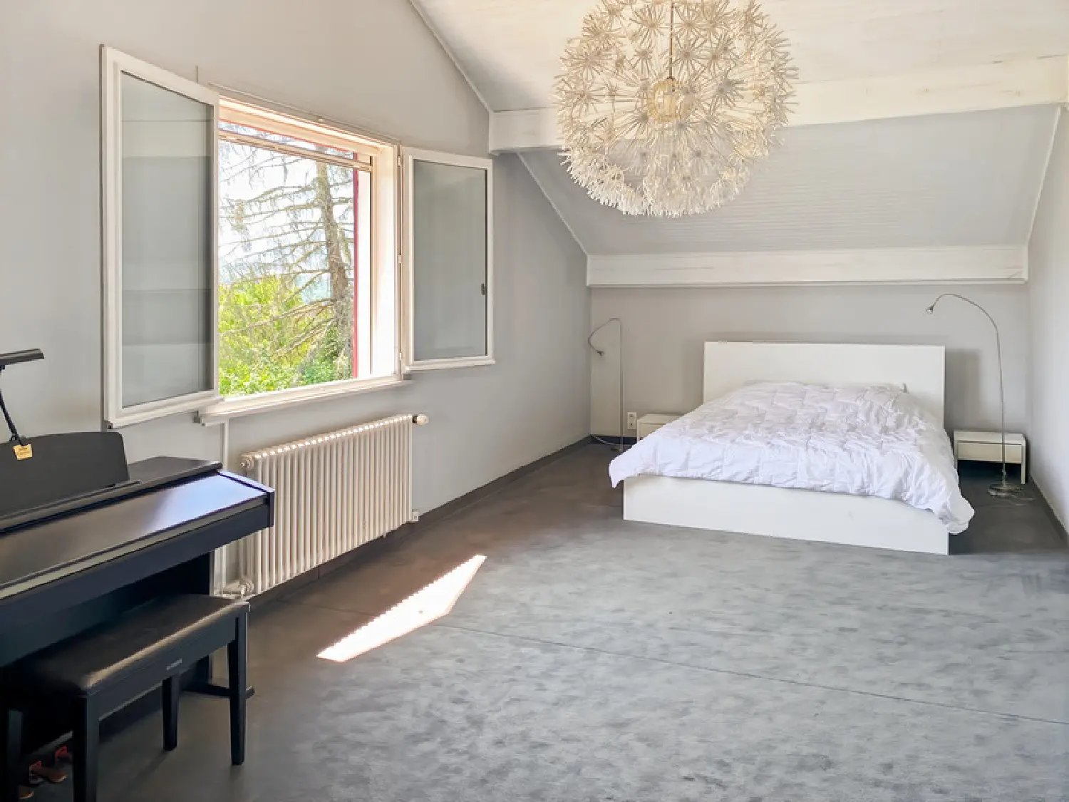  te koop huis Pougny Ain 8