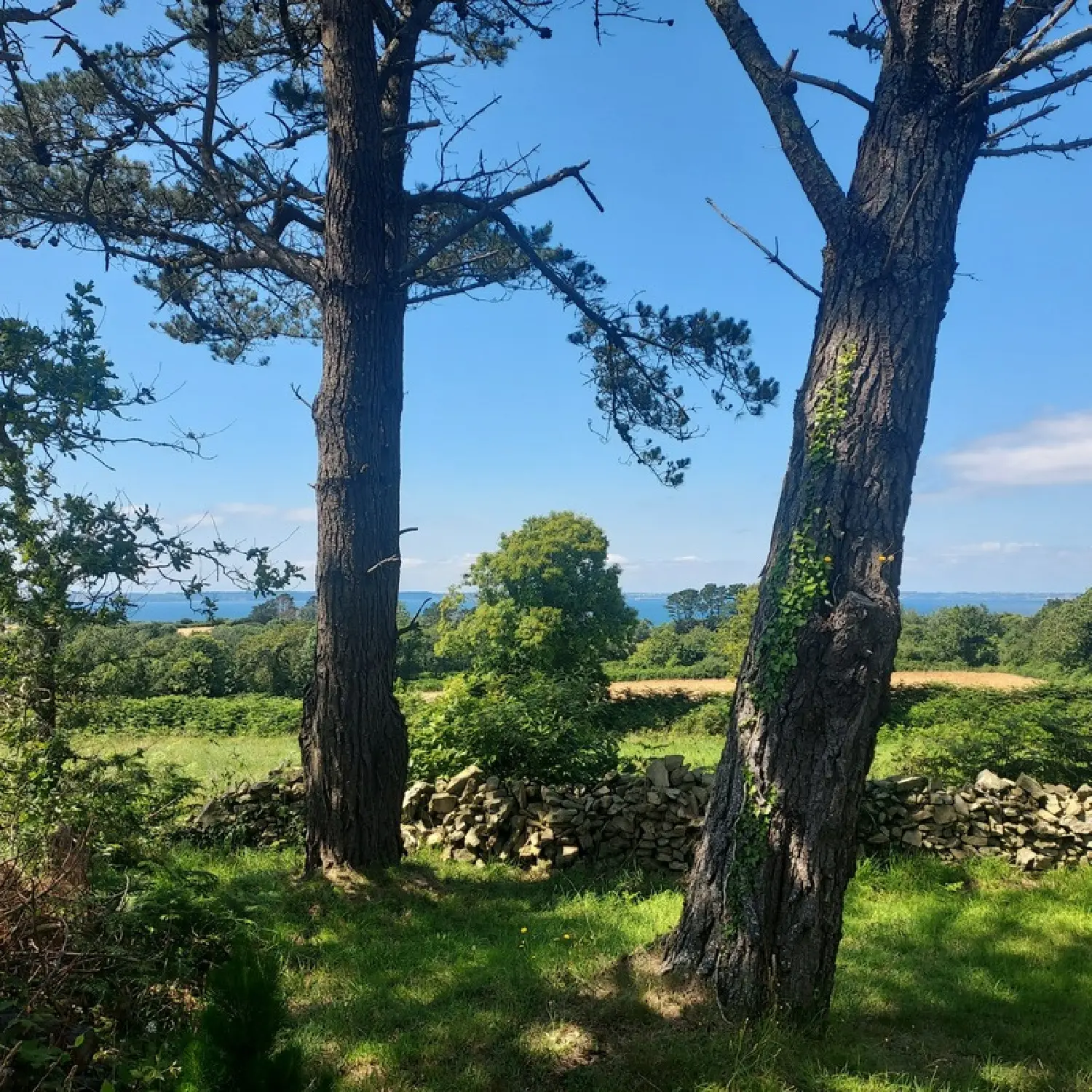  à vendre maison Poullan-sur-Mer Finistère 1