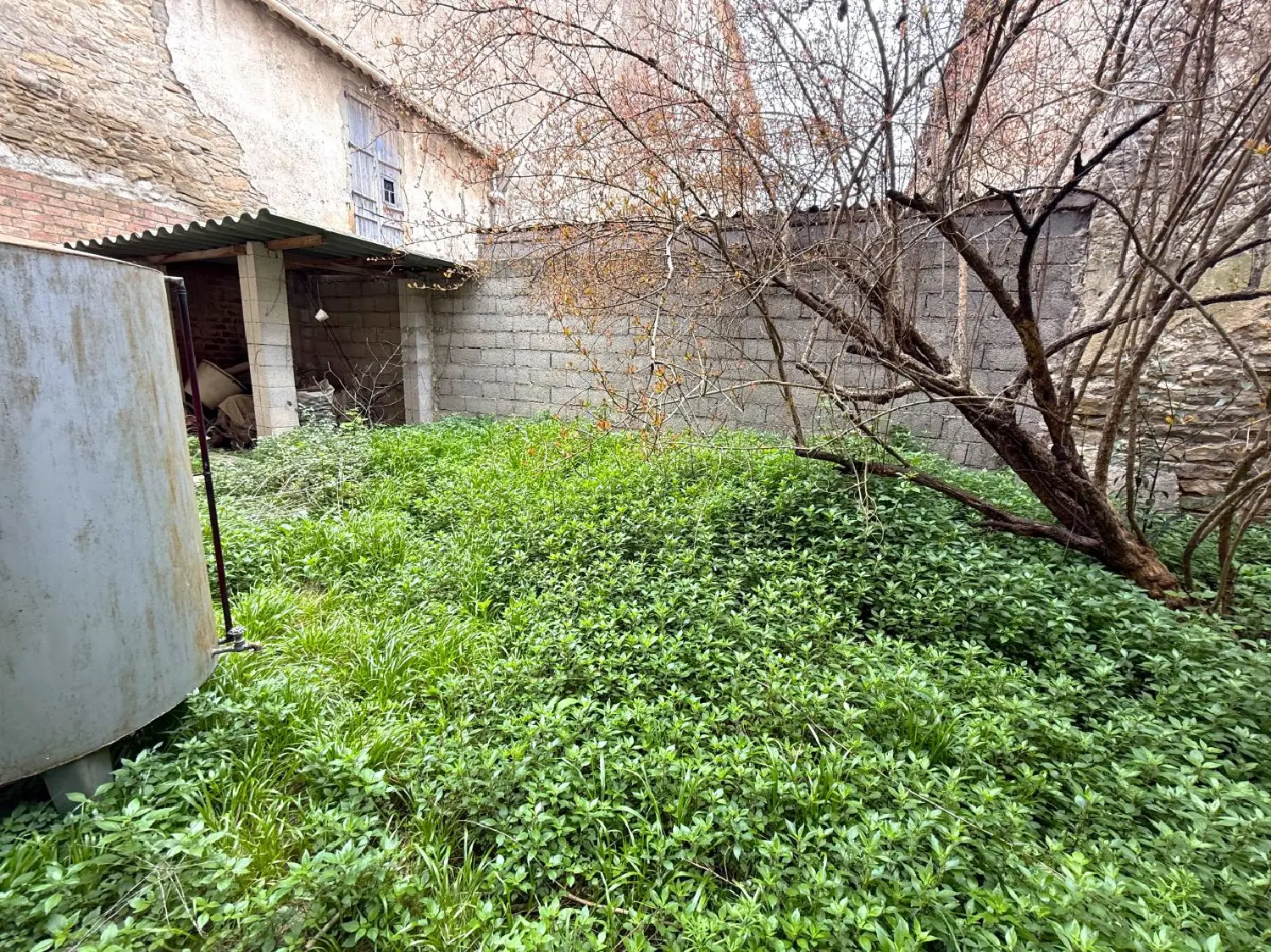  for sale house Pouzols-Minervois Aude 5