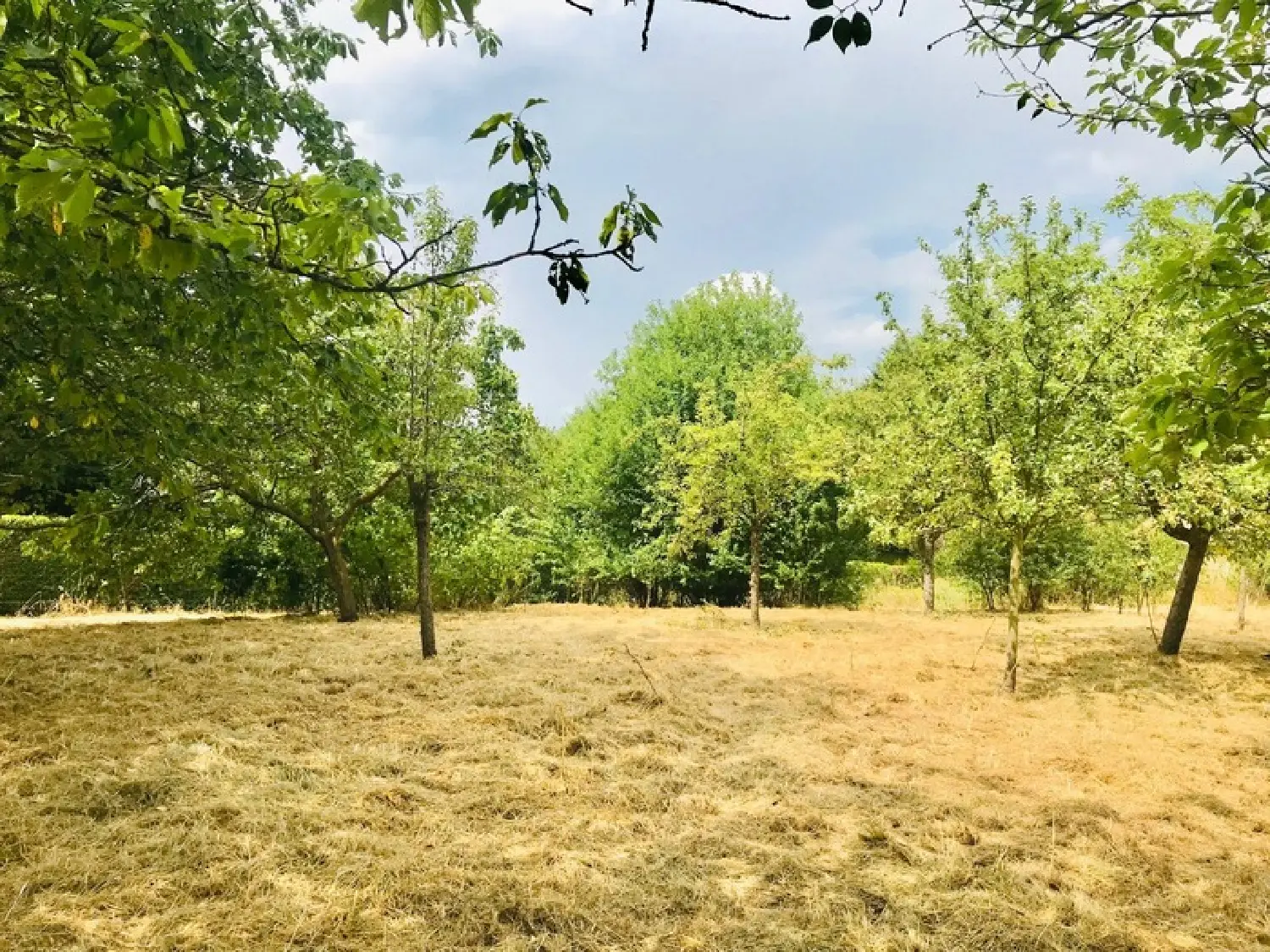  à vendre maison Précy Cher 7