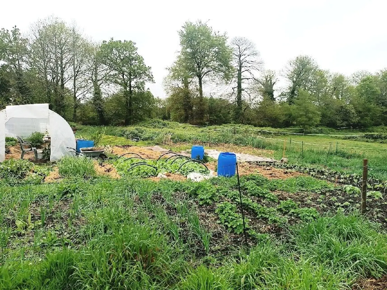  te koop huis Priziac Morbihan 2