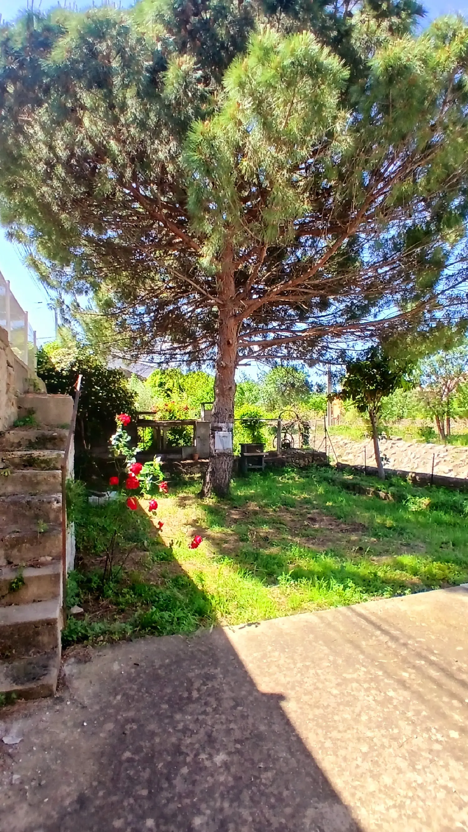  te koop huis Puissalicon Hérault 2