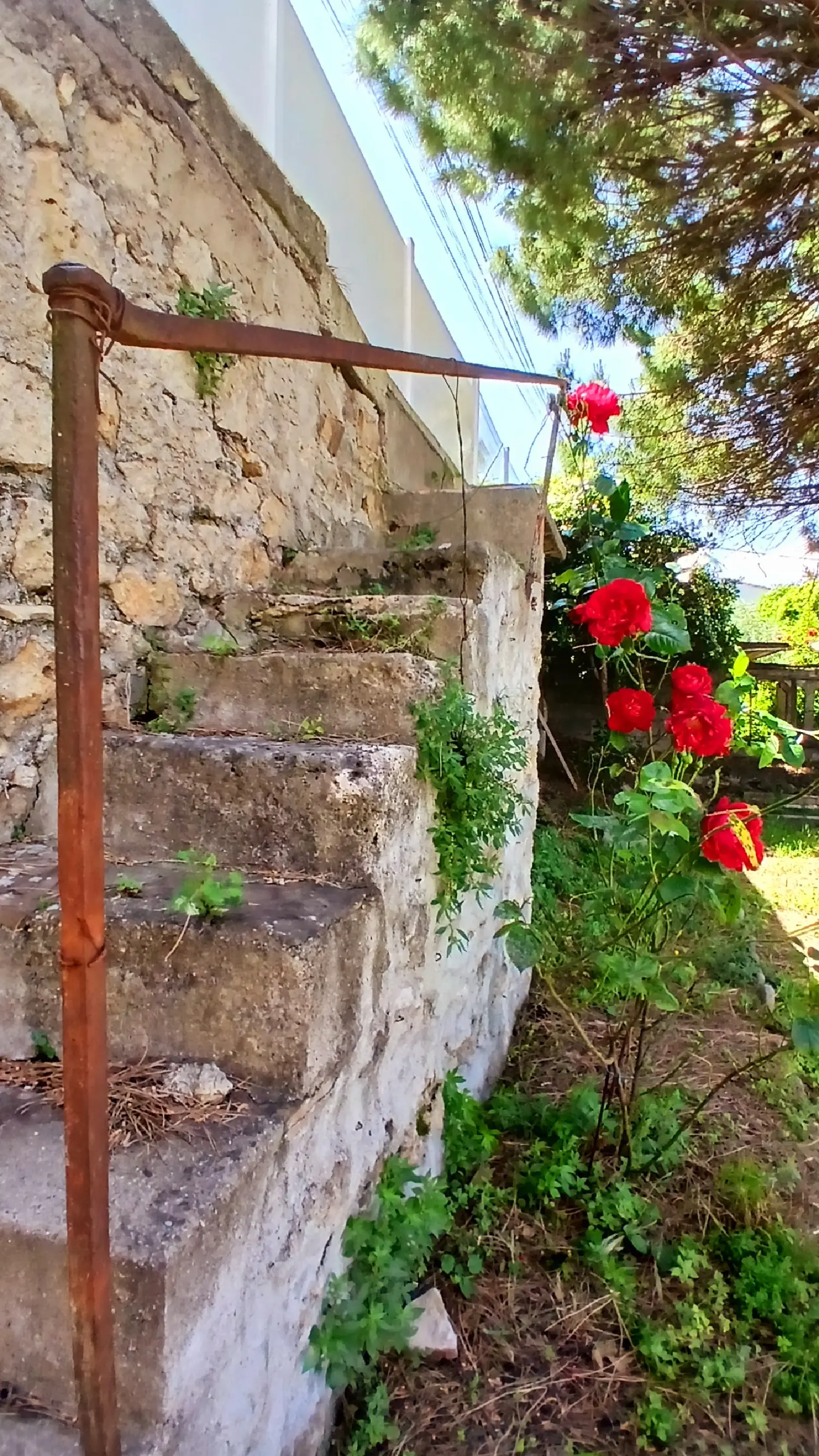  te koop huis Puissalicon Hérault 4