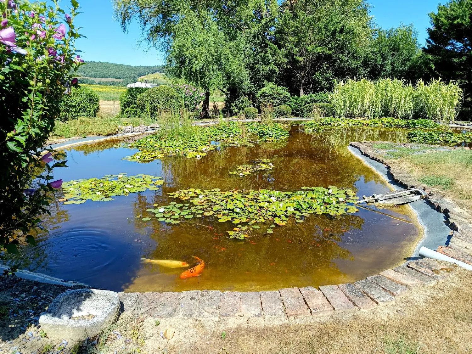  te koop huis Puybegon Tarn 6