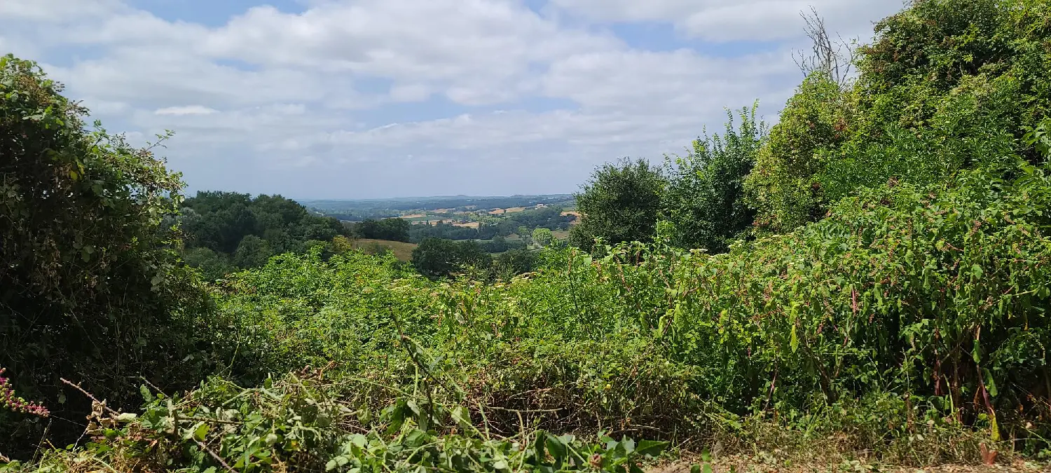  à vendre maison Puymaurin Haute-Garonne 3