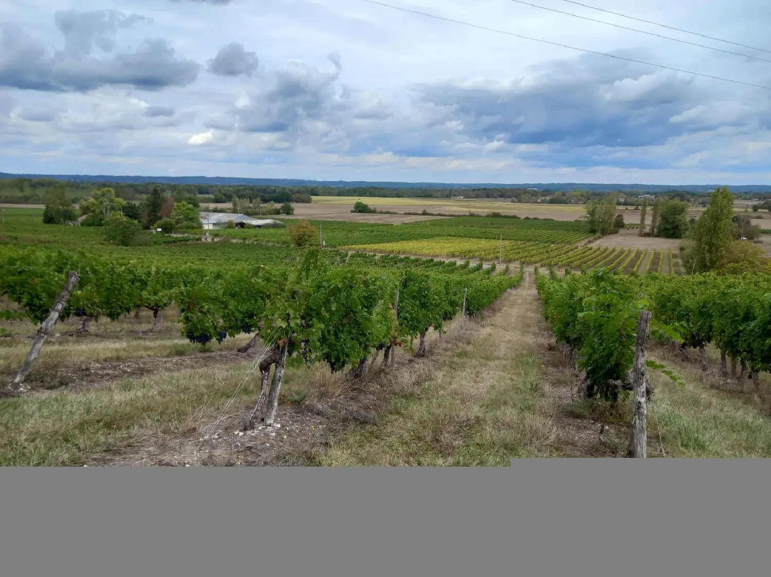 à vendre maison Razac-de-Saussignac Dordogne 4