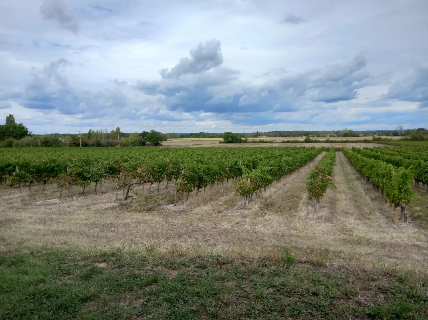  à vendre maison Razac-de-Saussignac Dordogne 5