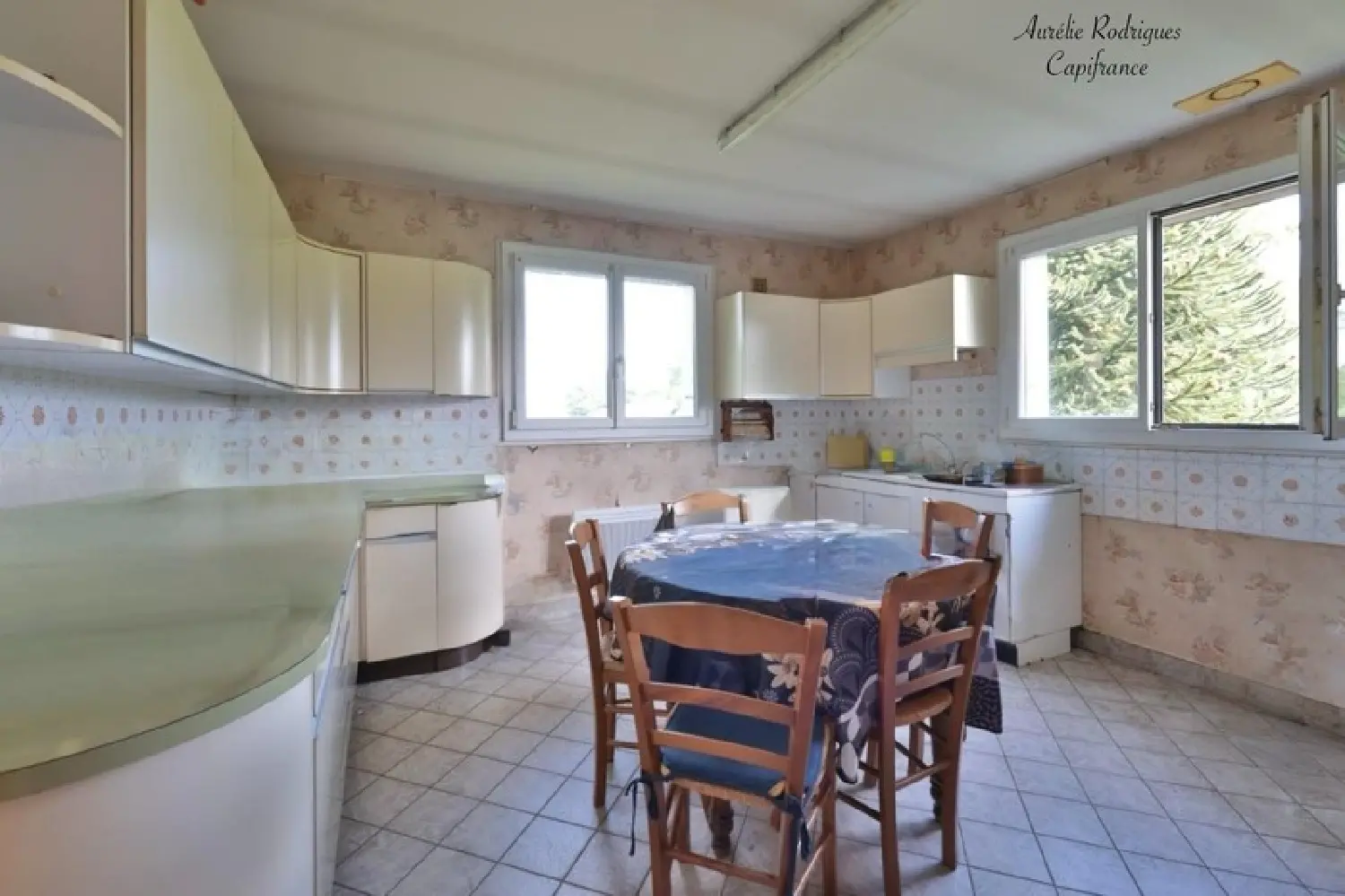  à vendre maison Replonges Ain 5