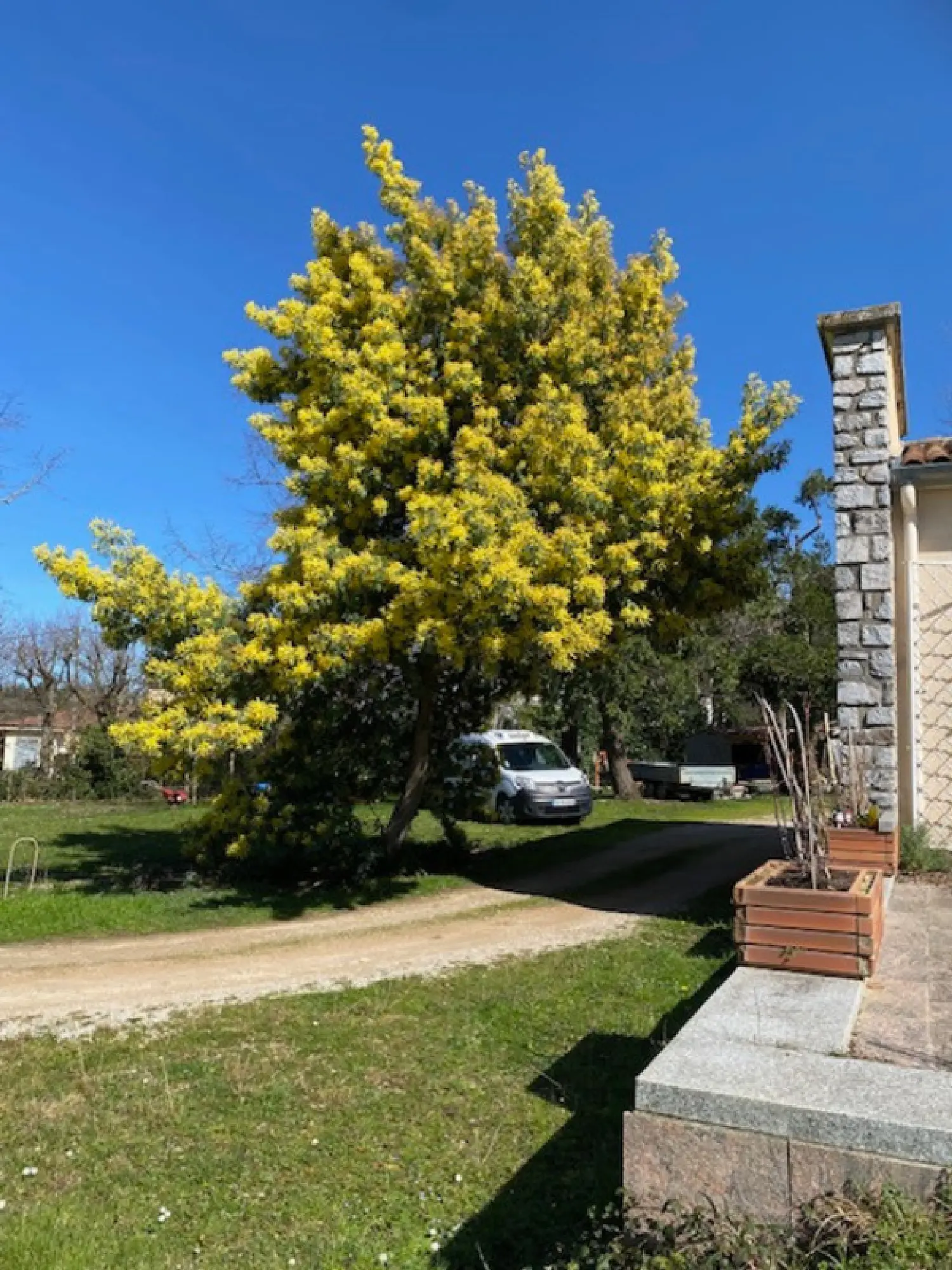  en venta casa Revel Haute-Garonne 7