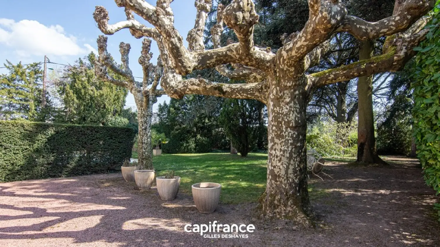  for sale house Romanèche-Thorins Saône-et-Loire 4