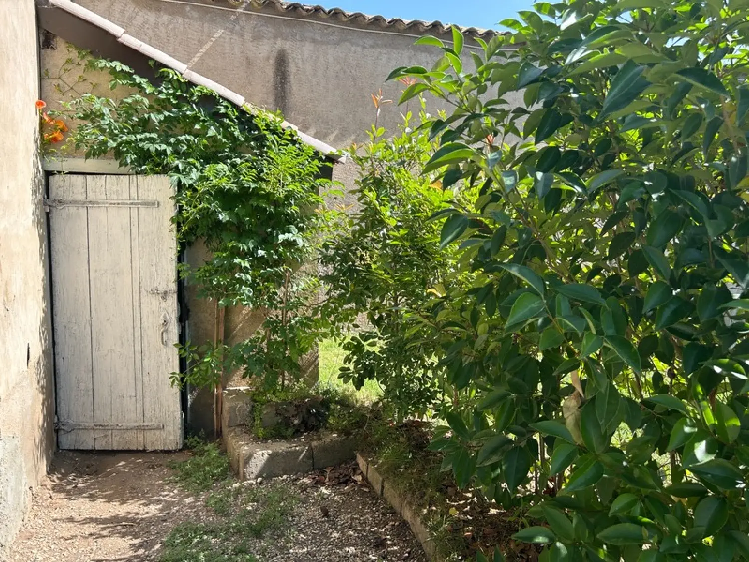 en venta casa Romanèche-Thorins Saône-et-Loire 3