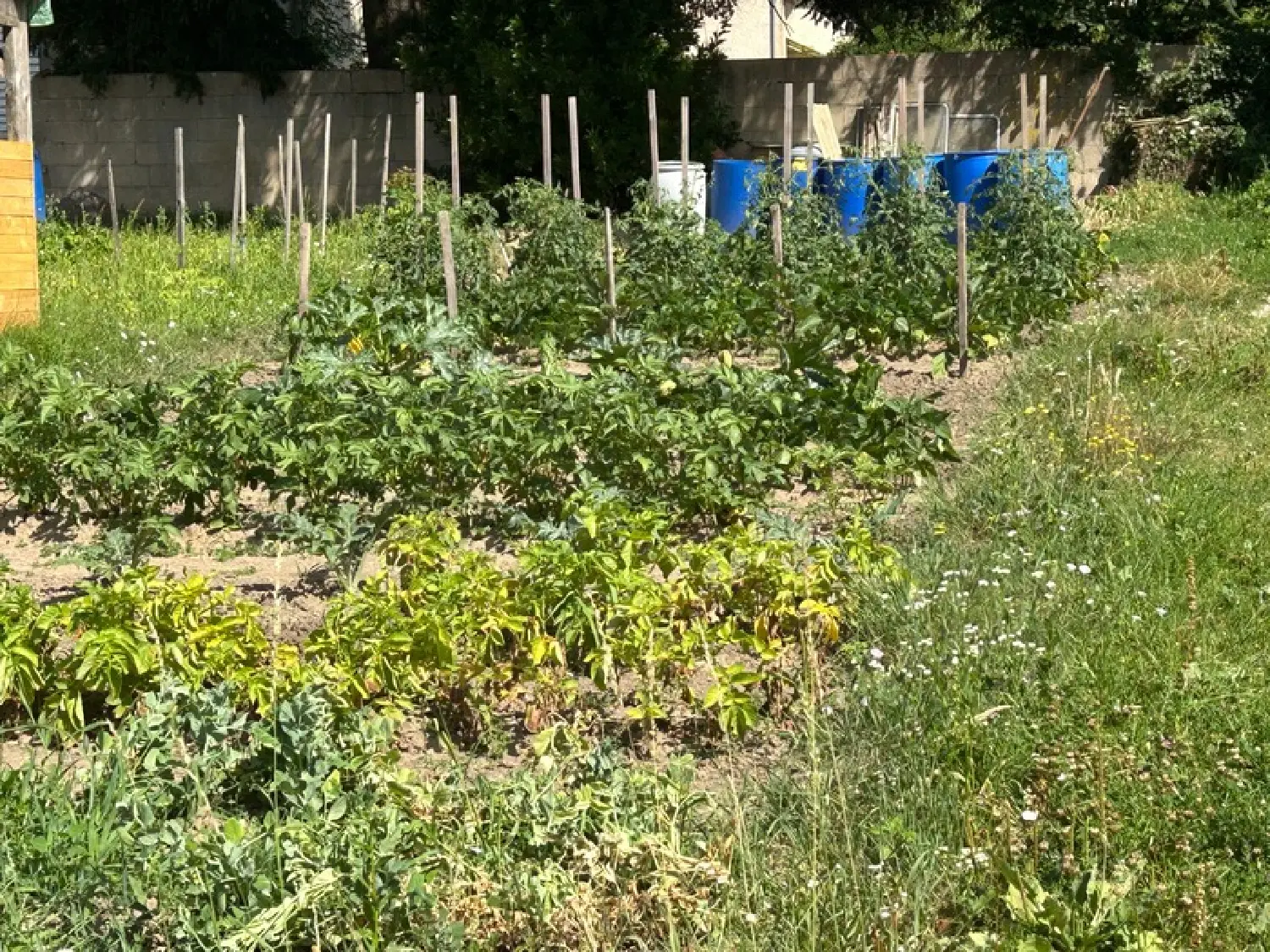  en venta casa Romanèche-Thorins Saône-et-Loire 7